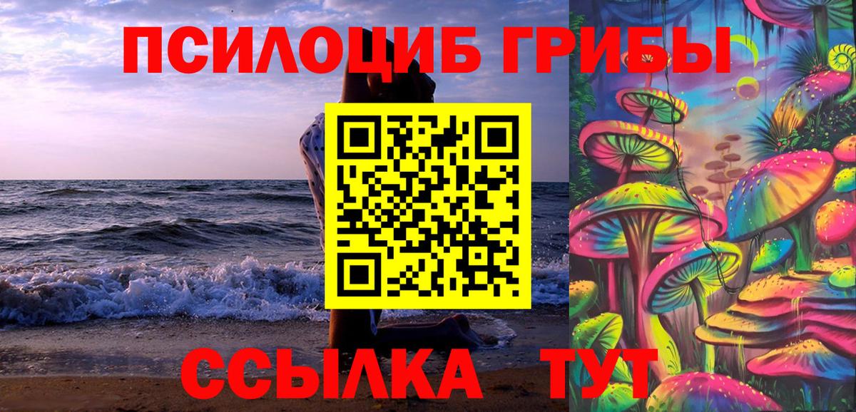 Галлюциногенные грибы прущие грибы  Псилоцибиновые грибы Psilocybe  Солнечногорск  Вход с VPN 