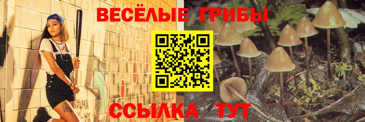 Псилоцибиновые грибы GOLDEN TEACHER Солнечногорск